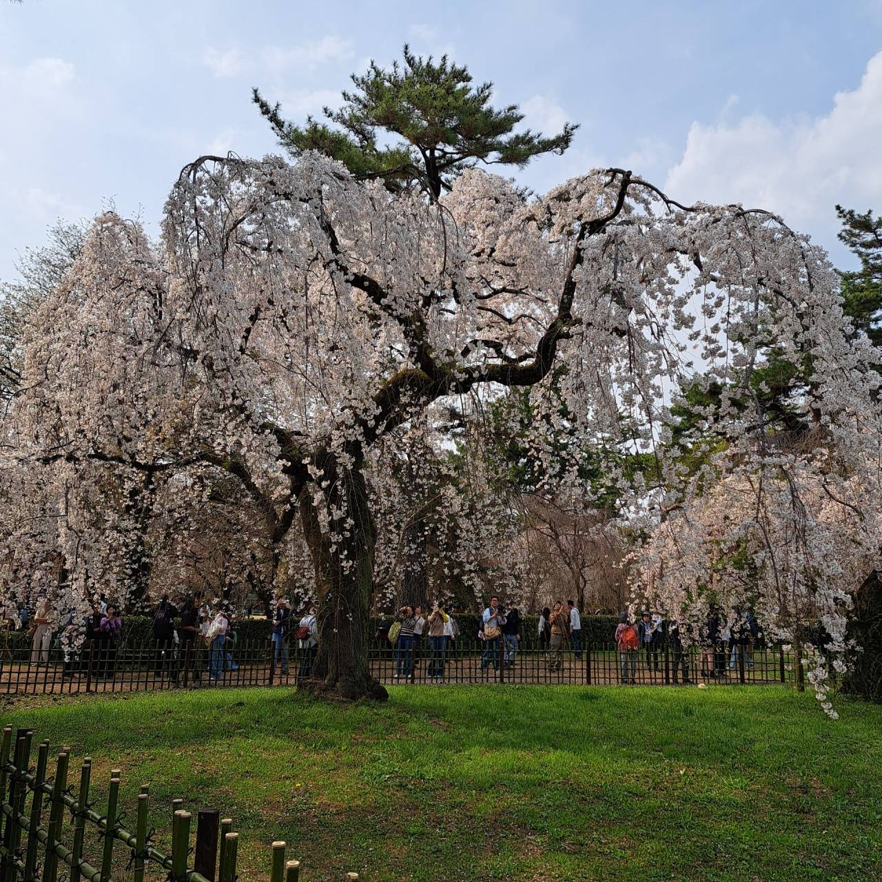 春の訪れと、インスタLIVEのお知らせ。今のあなたに最適なのは「自宅派?ジム派?」4月1日19時
