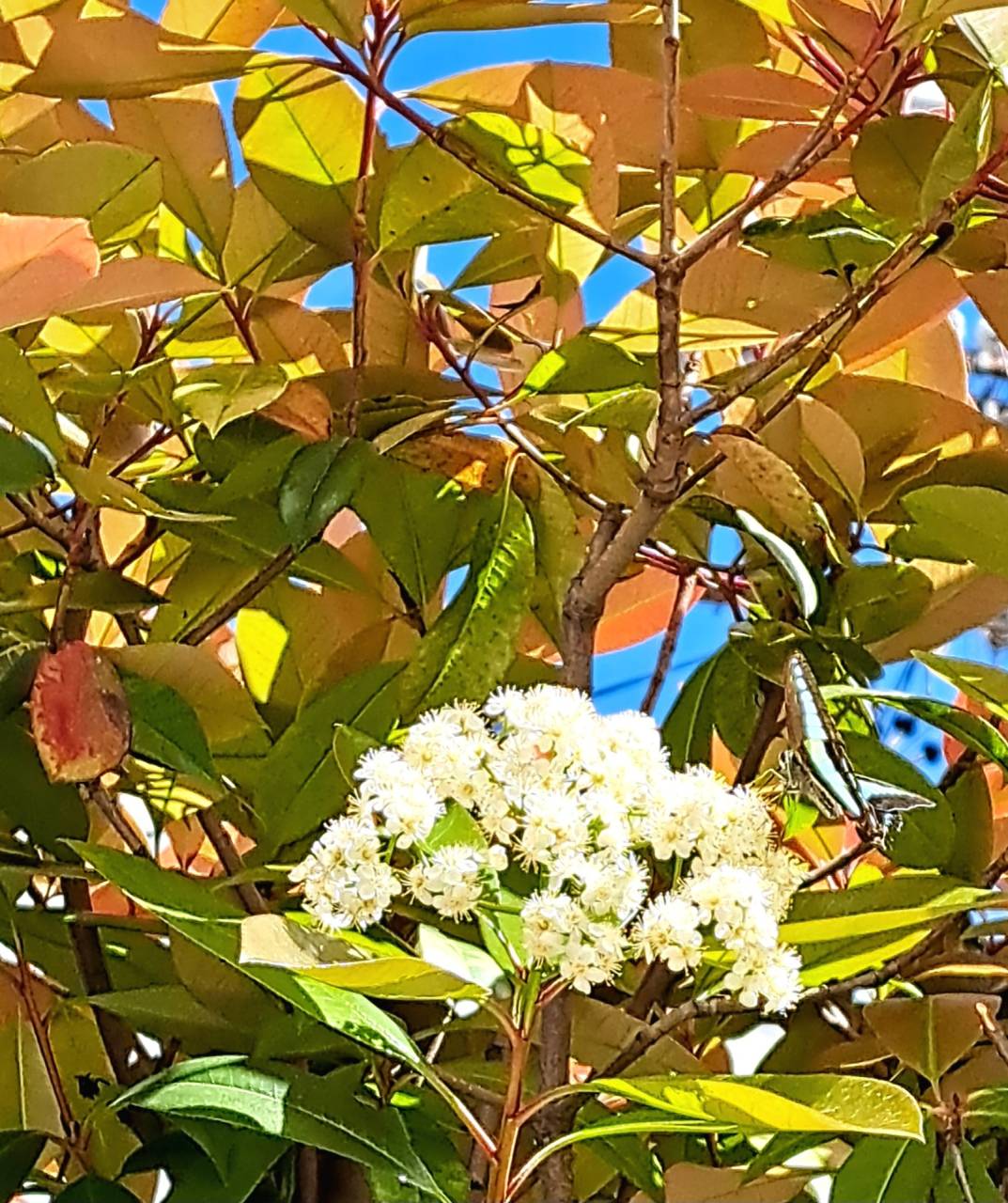 春、運を動かしてみませんか?「全身連動」で心も体もリフレッシュ!