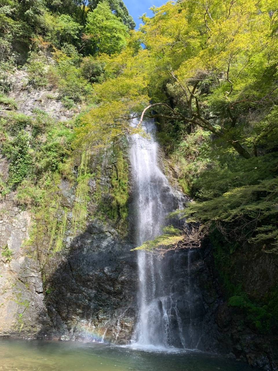 不変の大迫力落差33メートルの滝と今は大スター不在の観光地